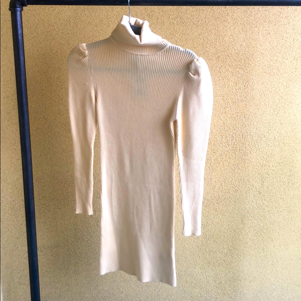 Skinny dress turtle neck